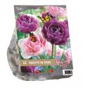 Baltus Urban Flowers Pretty in Pink bloembollen per 12 stuks